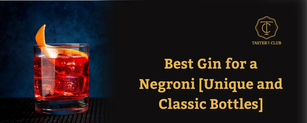 Best Gin for a Negroni [Unique and Classic Bottles]