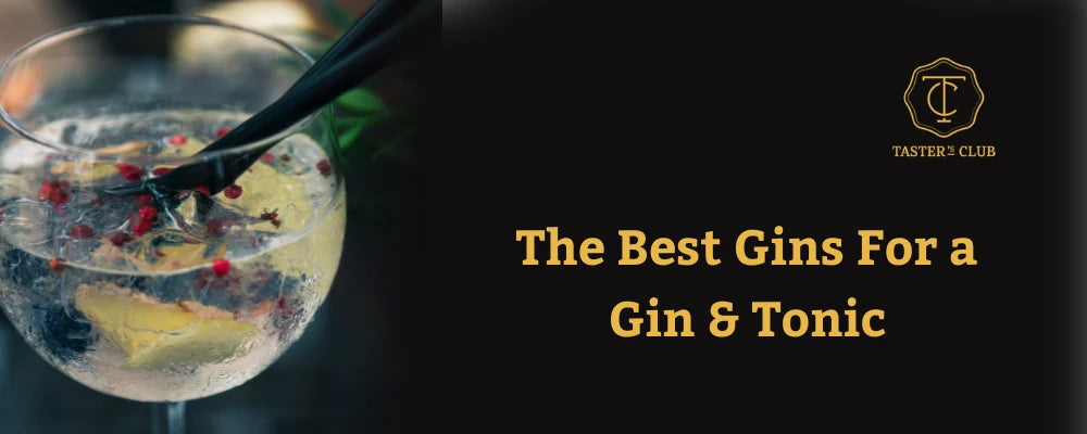 The Best Gin for a Gin & Tonic