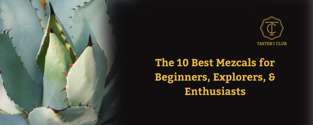 The 10 Best Mezcals for Beginners, Intermediate, & Enthusiasts