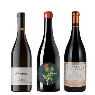 Discover the Taster's Club Red Wine Bundle featuring Broadley Vineyards Marcile Lorraine 2016, Naturaleza Salvaje Azul y Garanza, and Michelini I Mufatto A Merced Bierzo 2020. A curated selection for connoisseurs!