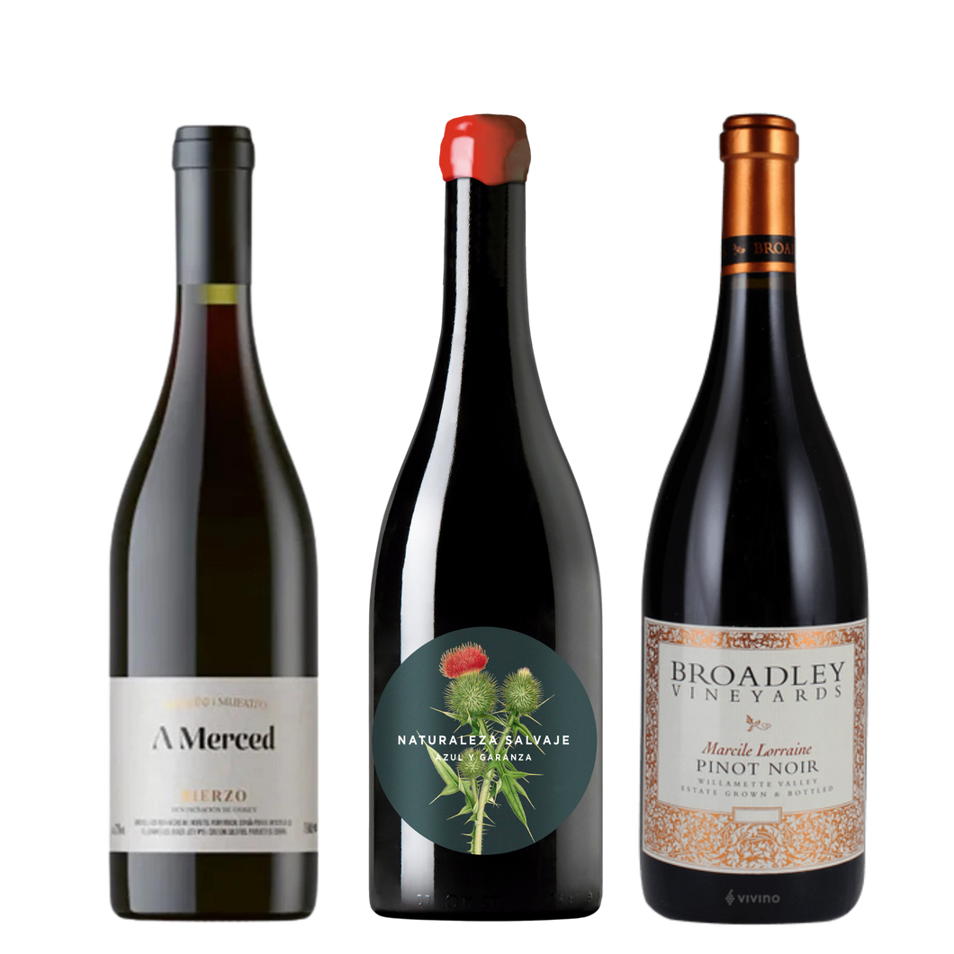 Discover the Taster's Club Red Wine Bundle featuring Broadley Vineyards Marcile Lorraine 2016, Naturaleza Salvaje Azul y Garanza, and Michelini I Mufatto A Merced Bierzo 2020. A curated selection for connoisseurs!