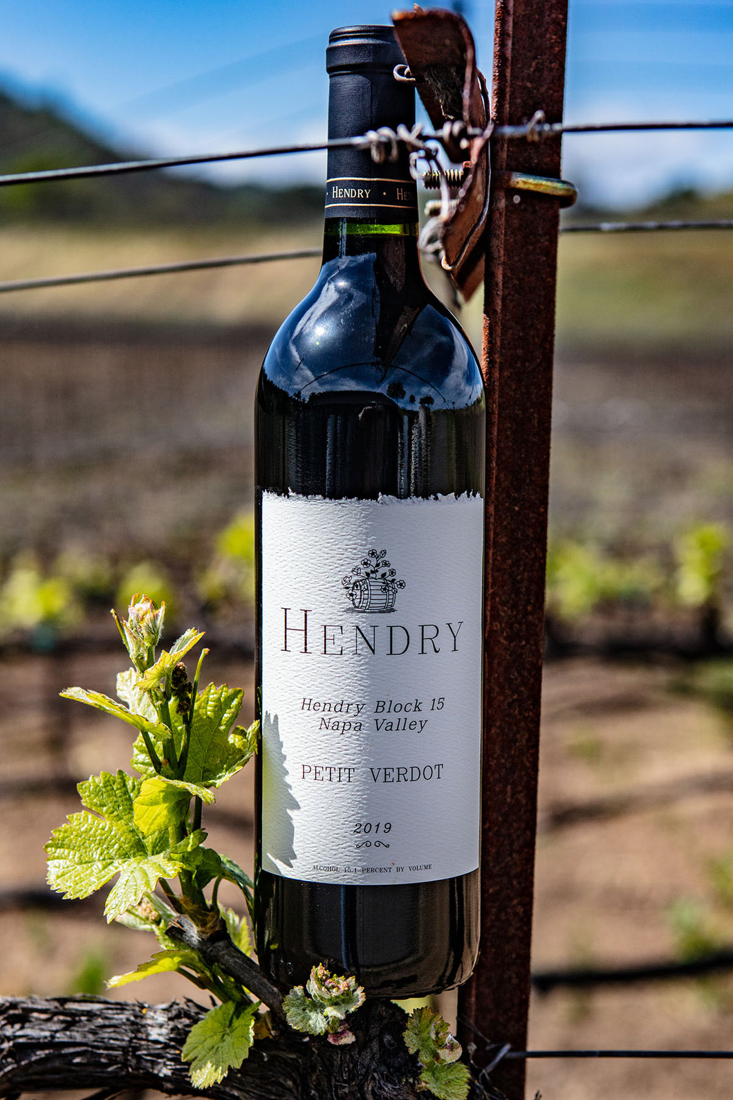 Hendry Petit Verdot 2019