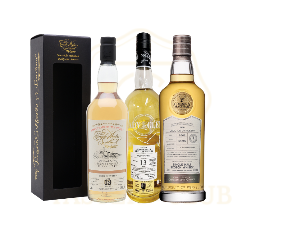 Taster's Club Scotch Pro Gift Pack